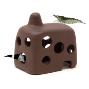 Casita baja para gambas