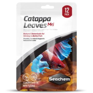 Catappa Leaves Md