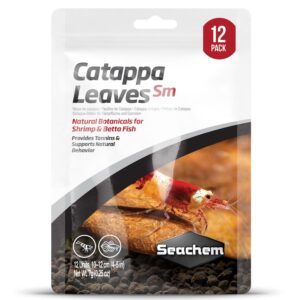 Catappa Leaves Sm