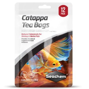 Catappa Tea Bags