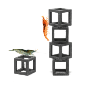 Cubos para Gambas (Pack de 5)