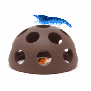 Accesorios para Gambas