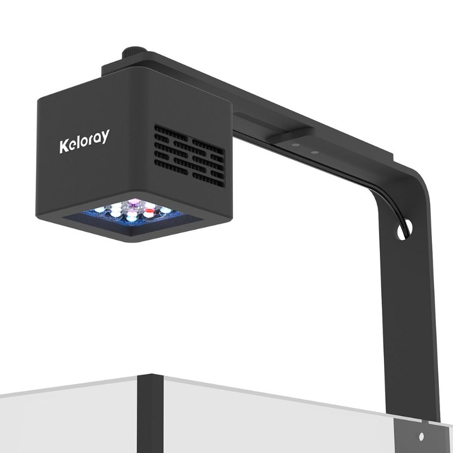 Foco G160 Reef Light