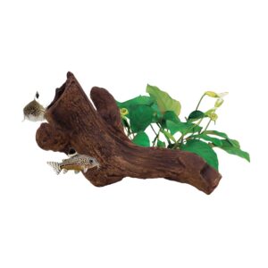 Cueva Cerámica Modelo B2