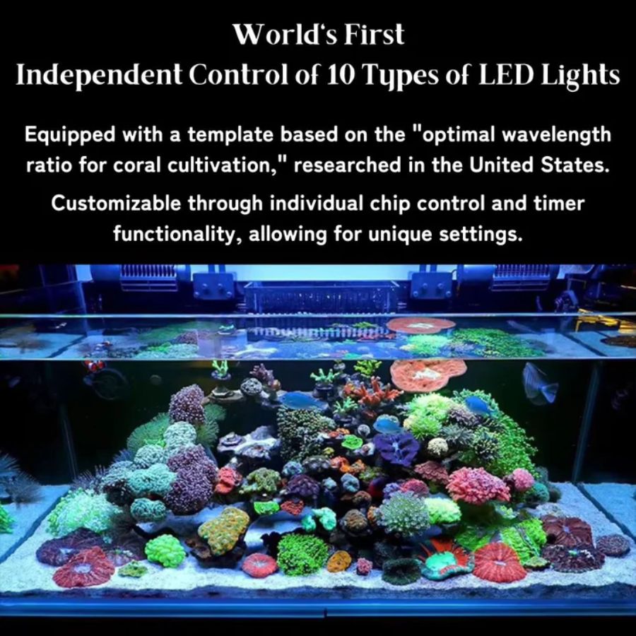 Pantalla LED Week Aqua Z400 SEA para acuario marino