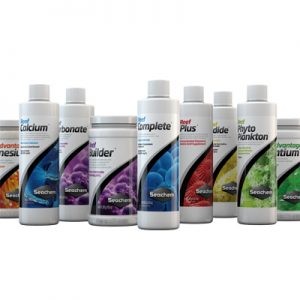 Reguladores Arrecife